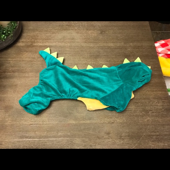 Dinosaur Costume for pet - Picture 2 of 6